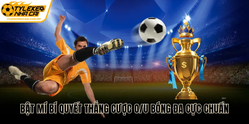 Bật mí bí quyết thắng cược O/U bóng đá cực chuẩn