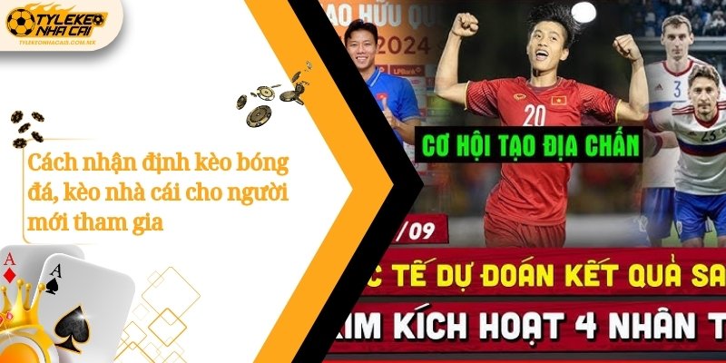 Cách nhận định kèo bóng đá, kèo nhà cái cho người mới tham gia