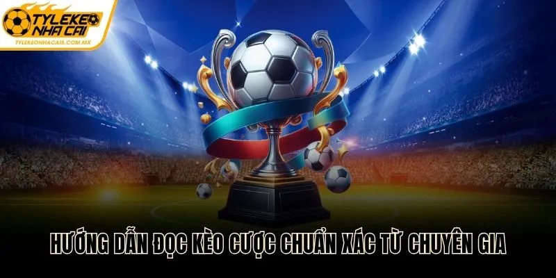 Hướng dẫn đọc kèo cược chuẩn xác từ chuyên gia tại Tỷ lệ kèo nhà cái 